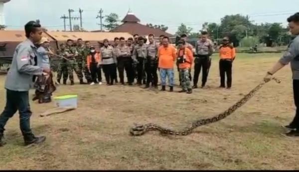 Polisi dan TNI di Sukoharjo Ikut Pelatihan Penanganan Ular, Pemateri dari Exalos Indonesia
