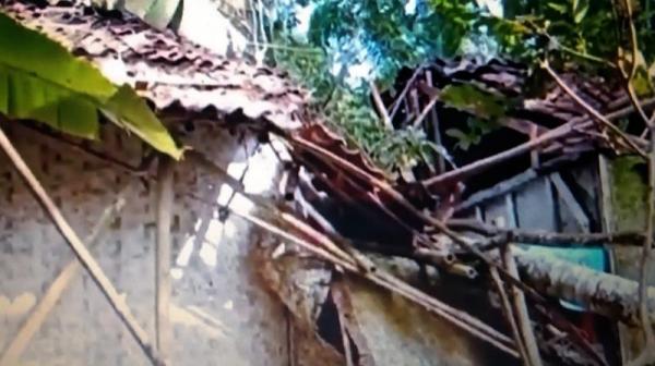 Puting Beliung Tumbangkan Puluhan Pohon dan Hancurkan Belasan Rumah di Cilacap