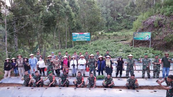 Tingkatkan Ketahanan Pangan, Pangdam XIV Hasanuddin Tanam dan Panen Lombok Katokkon di Toraja