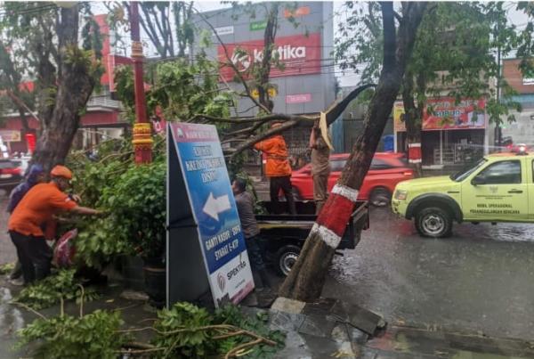 Hujan Deras Disertai Angin Kencang Di Grobogan Sebabkan Pohon Tumbang Dan Plafon Ambrol 1407