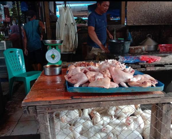 Harga Ayam Broiler Merangkak Naik di Aceh Tenggara Jelang Meugang Ramadan