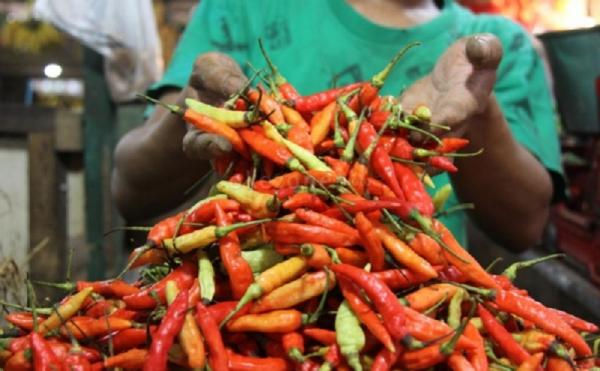 Pedaaas, Harga Cabai Rawit Merah di Pasar Malingping Lebak Tembus Rp100 Ribu per Kilogram