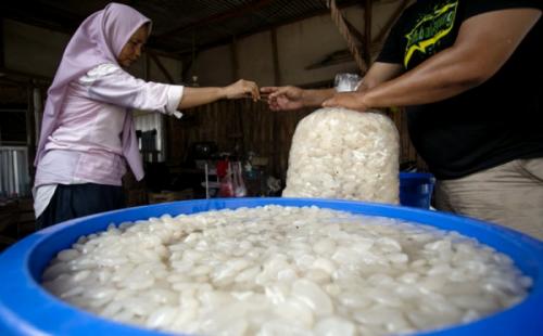Laris Manis di Bulan Ramadhan!  Pedagang Kolang-kaling Raup Rp10 Juta/Hari