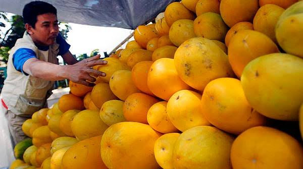 Jadi Buah Pavorit Warga Lebak Saat Buka Puasa, Harga Per Kilo Timun Suri Ternyata Cuma Segini!