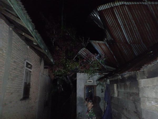 Lebong Rawan Bencana, Pohon Tumbang Rusak 5 Rumah, Truk Muatan Dedak Melintang di Jalan