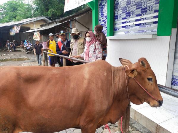 Pemkab Pastikan Ketersediaan Daging Sapi Aman saat Ramadan hingga Idul Fitri 1444 Hijriah