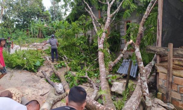 Belasan Rumah Warga di Desa Jeriji Rusak Dihantam Puting Beliung 