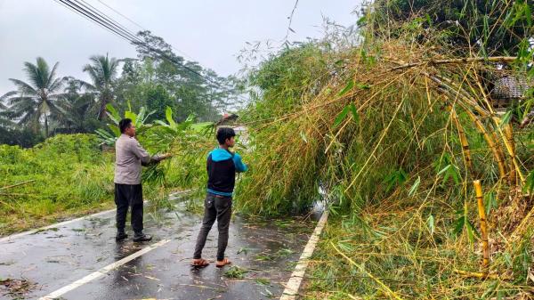 Polsek Tanjungjaya Evakuasi Pohon Bambu yang Tumbang Tutup Jalan Mangunreja-Sukaraja Tasikmalaya