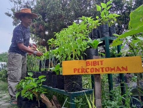Angkat Ekonomi Warga, Taman Tabalong Cirebon Digunakan untuk Pembibitan Tanaman