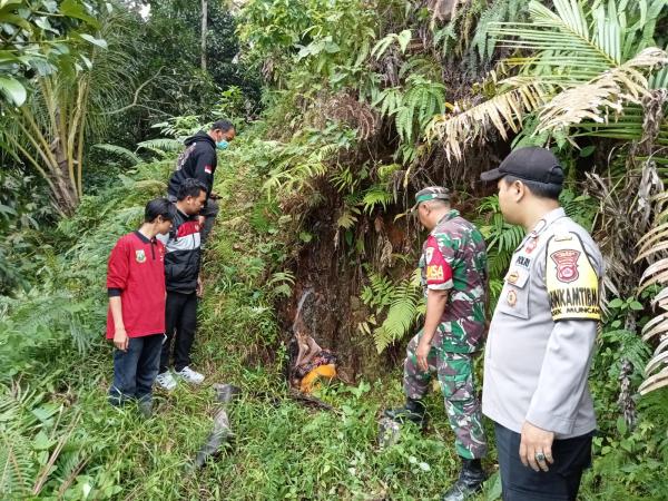 Mayat Wanita Diduga ODGJ Ditemukan Telungkup di Persawahan Muncang Lebak, Begini Kondisinya