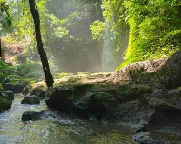 Desa Wisata Kenderan Gianyar Bali, Jejak Sejarah Tak Terlupakan hingga Masuk 75 Besar ADWI 2023