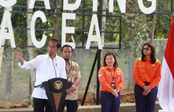 Kunker di Luwu Timur, Presiden Jokowi Minta Perusahaan Tambang di Indonesia Mencontoh PT Vale
