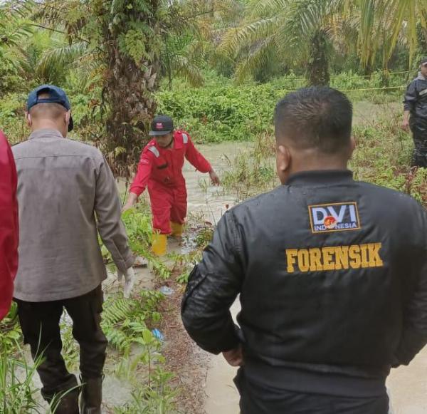 Geger, Warga Sarudu Pasangkayu Temukan Tulang Belulang Manusia