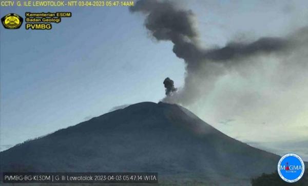 Waduh Gunung Ili Lewotolok di NTT Kembali Erupsi, Warga Diminta Waspada Guguran Lava