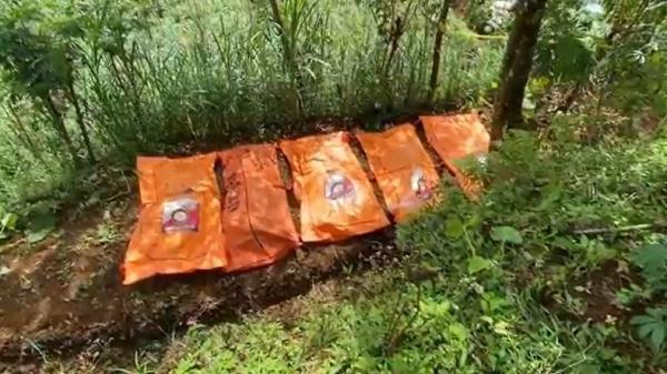 11 Korban Pembunuhan Dukun Pengganda Uang di Banjarnegara Mengerikan, Ada yang berisi 2 Jasad