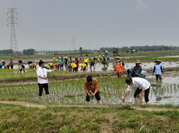 Menteri Pertanian Dampingi Presiden Jokowi Lakukan Percepatan Tanam Padi di Kabupaten Tuban
