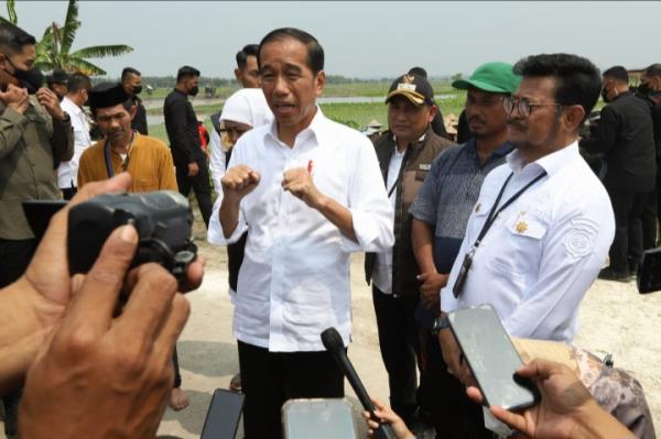 Presiden Jokowi Tanam Padi dan Kunjungi Pasar di Tuban