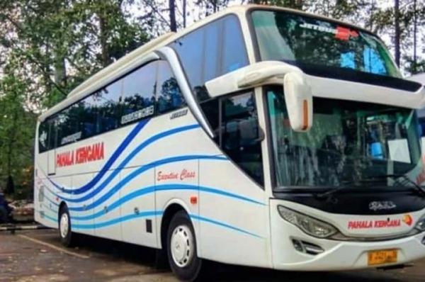 Harga Tiket Mudik Lebaran 2023 Bus Pahala Kencana Jakarta - Solo, Berlaku 17 hingga 22 April 2023