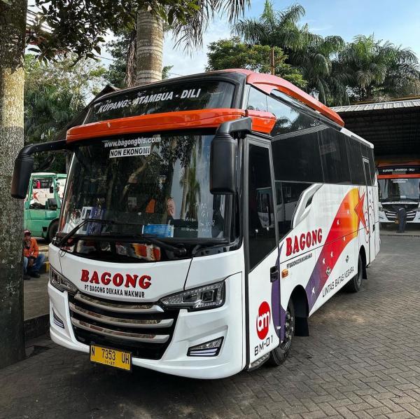 Wow! PO Bagong, Bus Asal Malang Ini Buka Rute Lintas Negara Kupang - Dili