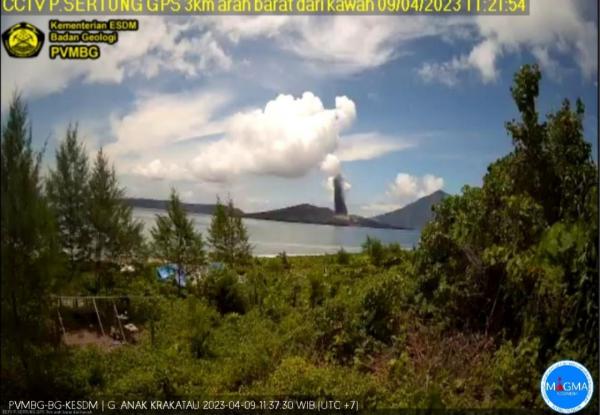 Gunung Anak Krakatau Erupsi, Keluarkan Asap Kawah Warna Putih hingga 300 Meter