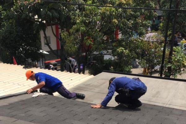 Heroik!! Petugas Damkarla Gresik Selamatkan Kucing Terjebak di Atap Rumah Warga