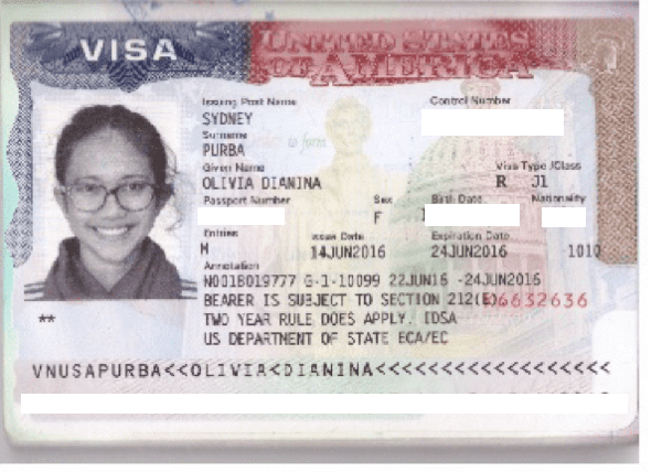Beragam Fungsi Visa, Mulai sebagai Visa Diplomatik hingga Visa Kunjungan