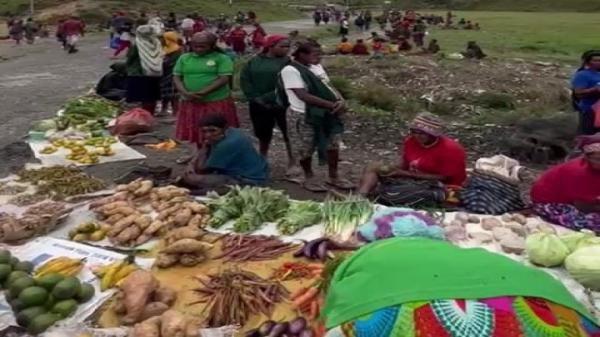 Dihadang KKB, Warga Hitadipa Dan Agisiga Murka Tak Bisa Menjual Hasil Bumi ke Sugapa