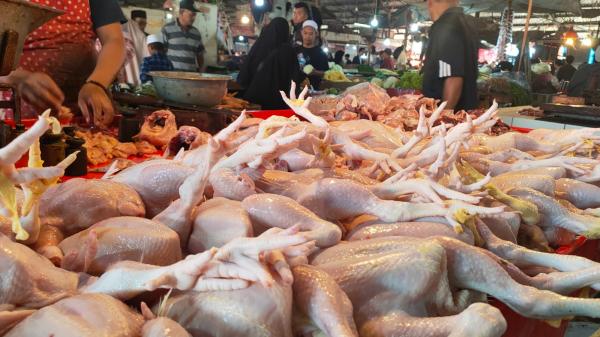 Harga Daging Ayam di Cianjur Diprediksi Akan Teus Mengalami Kenaikan