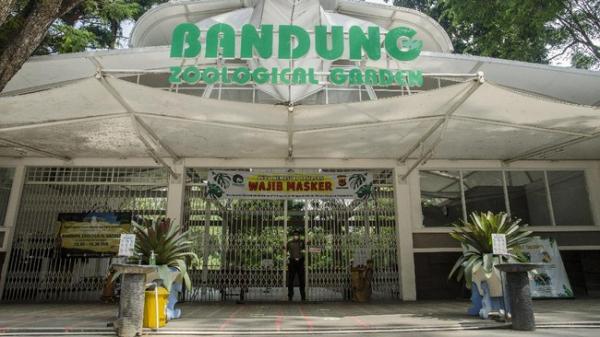 Duh, Pengunjung Kebun Binatang Bandung Kecewa Promo Tiket Tak Sesuai Ekspektasi