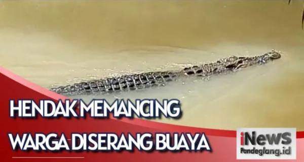 Detik-detik Warga Pandeglang Diterkam Buaya saat Memancing