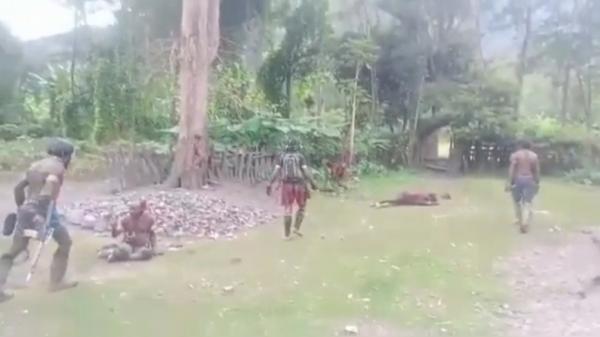 Video Kelompok OPM Lewis Kogoya Aniaya KKB Papua Jhoni Botak Beredar Luas di Medsos