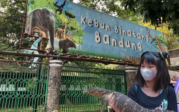Boleh Bawa Makanan, Bandung Zoo Dipadati Ribuan Pengunjung di H+1 Lebaran