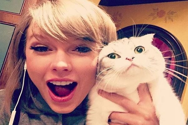 Kekayaan Kucing Menggemaskan Milik Taylor Swift Capai Rp1,5 Triliun