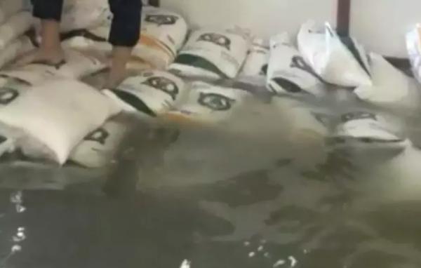 Waduh, Sebanyak 215 Karung Beras Bantuan Sosial Terendam Banjir di Tangerang
