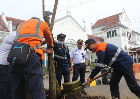 Peringati Hari Buruh Nasional, KAI Daop 3 Cirebon Tanam Puluhan  Pohon Pule