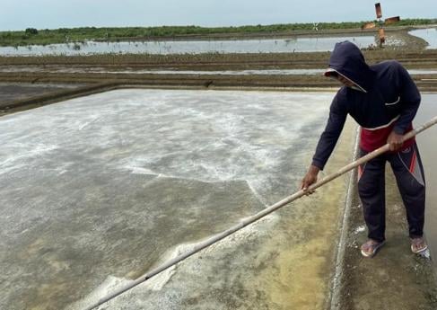 Kisah Mantan Tukang Becak Punya 2 Pabrik Garam, Penghasilannya Kini Rp400 Juta per Bulan