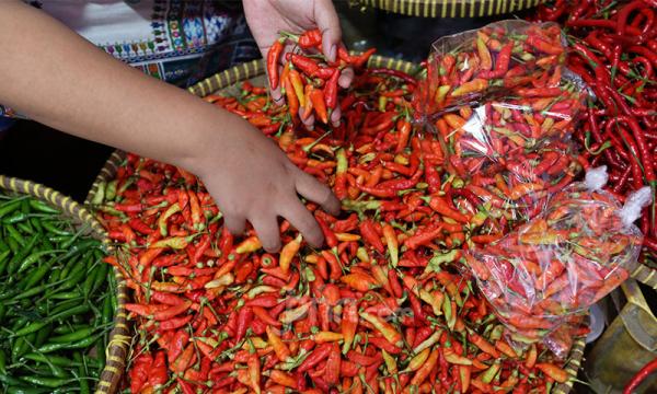 Ini Komoditas yang Membuat Jatim Terhindar Inflasi, Jangan Remehkan, Catat Nama Barangnya