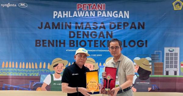 Tingkatkan Produktivitas, Petani Jagung Harus Pandai Pilih Benih Unggul dan Berkualitas