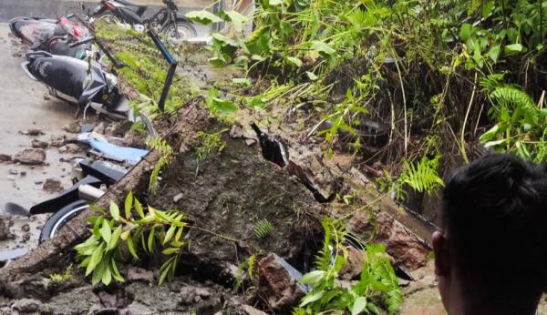 Belasan Motor Tertimpa Pohon Tumbang di Pagelaran Cianjur Selatan