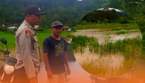 Akibat Hujan Deras, Dua Desa di Purbatua Terendam Banjir