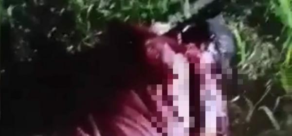 Beredar Video Korban Pembacokan, Polsek Cibeber Cianjur Pastikan Itu Hoaks