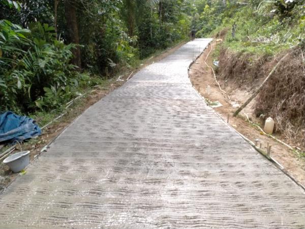 Pemdes Lebak Peundeuy Cihara Realisasikan Dana Desa Melalui Pembangunan Jalan