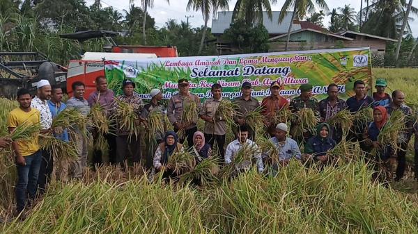 Kelompok Tani Binaan AMANAH dan LPMA Panen Padi Perdana di Lahan 10 Hektar di Aceh Utara
