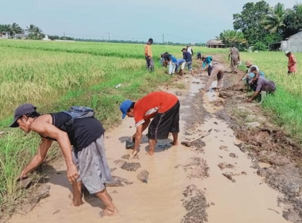 Miris! Jalan Desa Idaman  di Kabupaten Pandeglang Ini dalam Kondisi Berlumpur