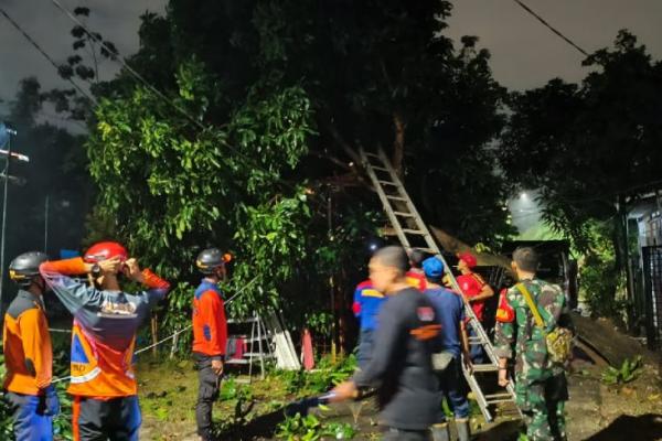 Pohon Tumbang Tutup Akses Jalan Warga, Serpong Diterjang Hujan Deras dan Angin Kencang