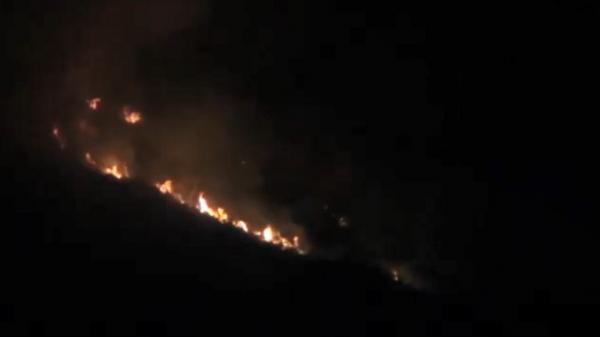 Kebakaran Hutan, 2,5 Hektare Lahan di Humbahas Hangus