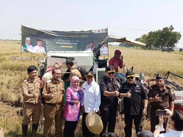 Kementan RI Tinjau Panen Raya di Cirebon