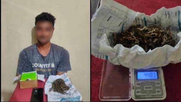 Polisi Polres Aceh Singkil Temukan Paket Kiriman Ganja di Loket Angkutan dan Ringkus Seorang Pria