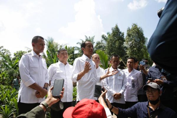 Anggarkan Rp800 Miliar, Ijeck Bersama Jokowi Tinjau Jalan Rusak di Labura