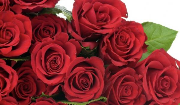 Ternyata Bunga Mawar Lezat Dikonsumsi, Ini 6 Fakta Kehebatan Bunga Terpopuler di Dunia